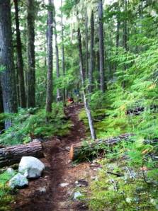 1184916_10101560829686759_1162324667_n