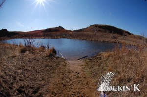 Two frigid, waist-deep horse ponds in the final mile and a half of the course will slow your pace and reinvigorate your legs.