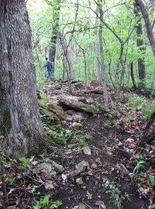New trail behind Shelter 9.