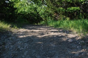 The shadows help mask a lot of ruts that remain from foot damage during the Free State Trail Runs on the Blue Trail near Lands End. This area receives quite a bit of sunlight, so the water had evaporated by the time this photo was taken on Wednesday, May 27, 2015.