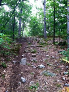 My new neighborhood trails at the Middlesex Fells Reservation.
