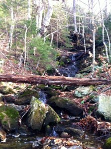 The warm weather meant the waterfalls were flowing on Mount Greylock.